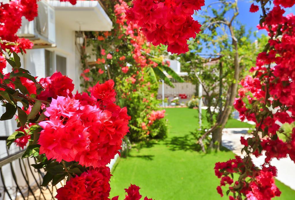 Kiraz Butik Hotel Alaçatı Eksteriør billede